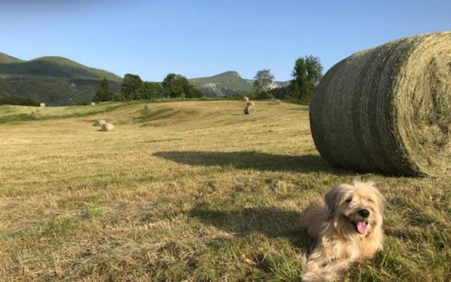 Appartement Mont-Dore, 5 pièces, 10 personnes - FR-1-608-27