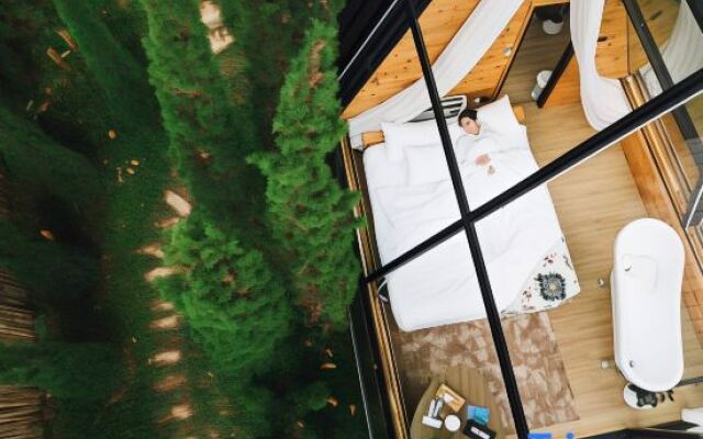 Morning Star Glamping