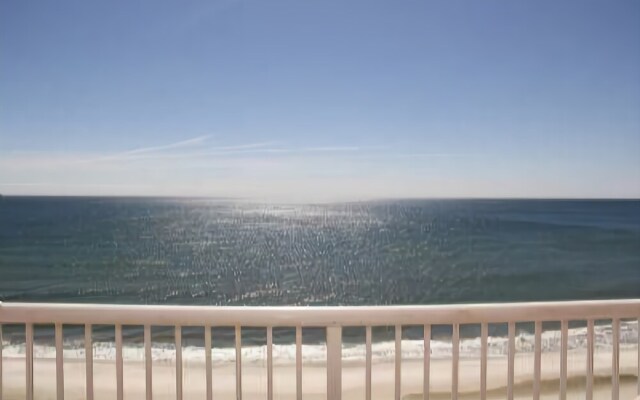 Royal Palms 1001 by RedAwning