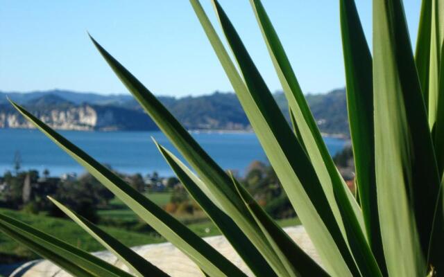 Ohuka Place Homestay