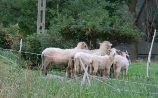 Pokoje gościnne Kamińscy