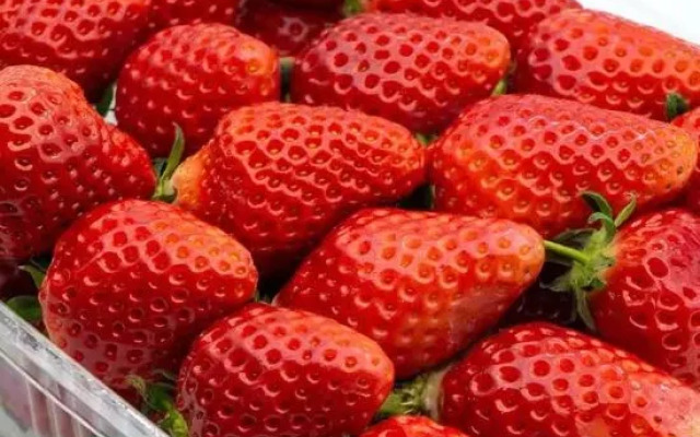 Guomao Holiday Hotel