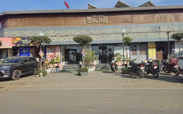 The Royal Orchid