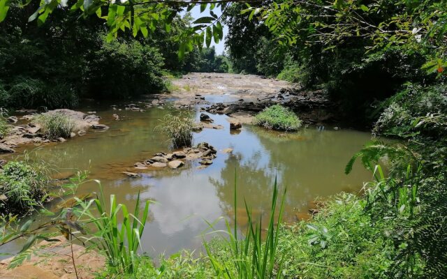 Silent Bungalow River Side
