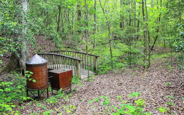 Sautee Nacoochee Mtn Paradise w/ Spacious Deck!