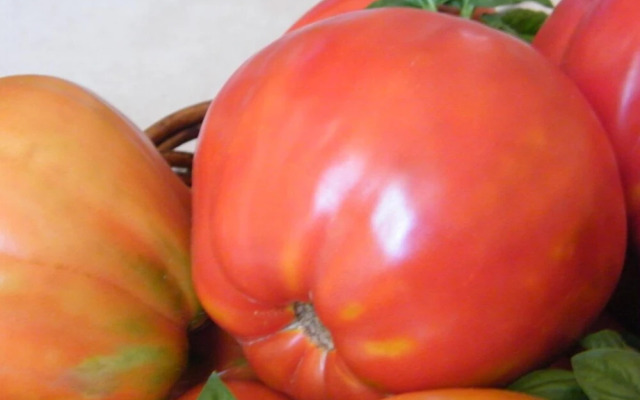 Agriturismo La Vecchia Fontana