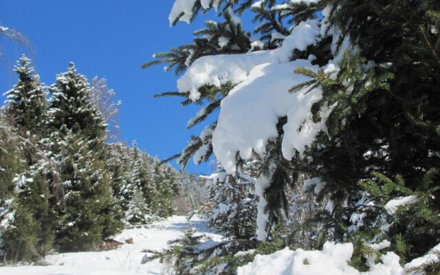 Ferienwohnung Plattner