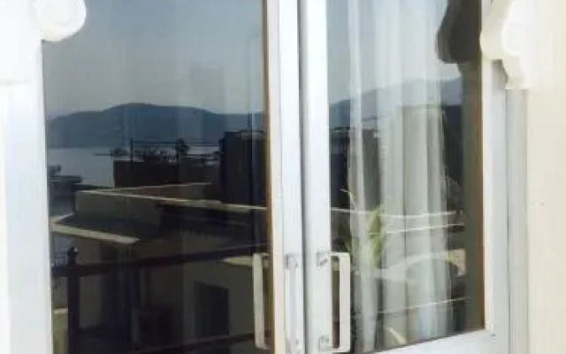 Peacock Paying Guest House