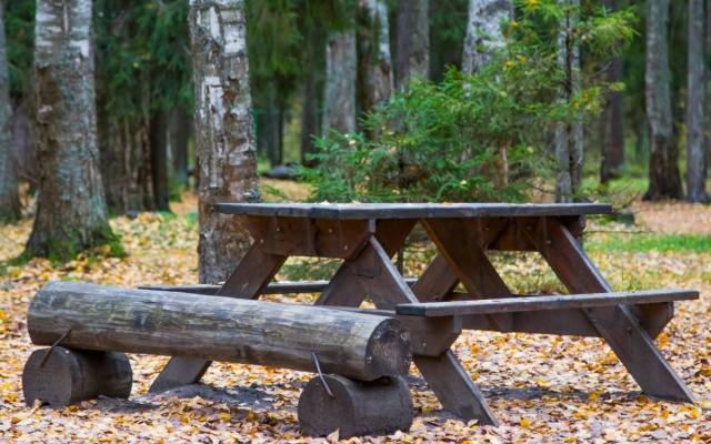 Зелёный городок