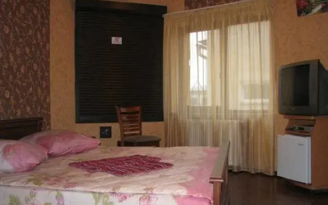 Hotel Virazh