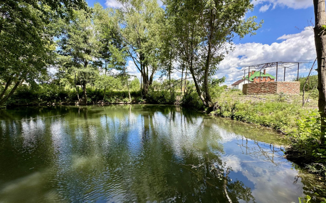 Зеленая крыша