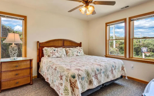 3068 - Carolina Sunshine