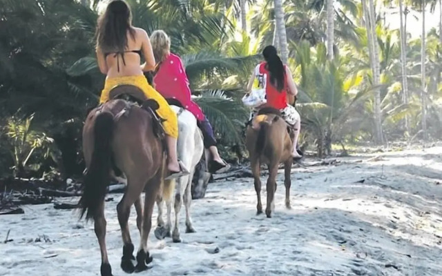 Tree of Life - Hostel