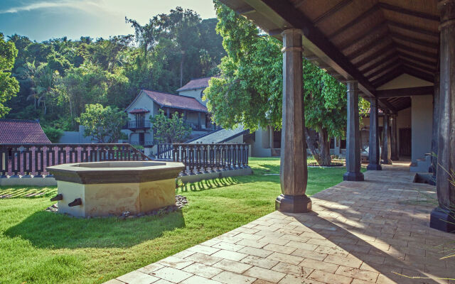 Chivitr Health and Rejuvenation