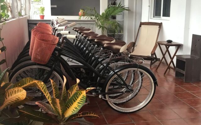 Lobo Inn - Hostel