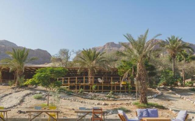 Ein Gedi Camp Lodge