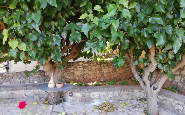 The Rose Garden Villa