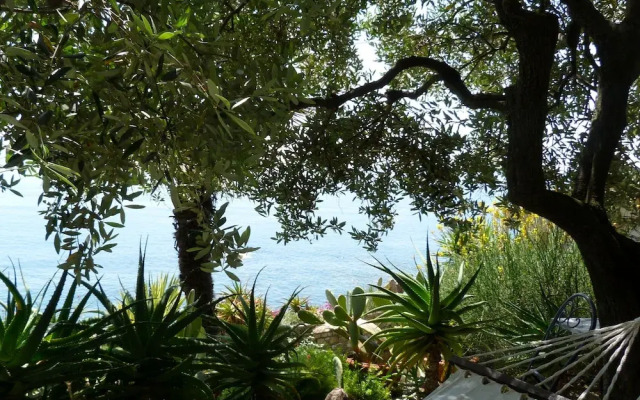 House Limone