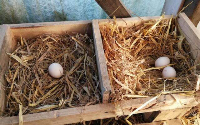 Gîte Danzé, 3 pièces, 6 personnes - FR-1-491-278