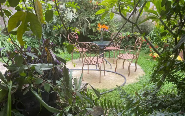 Flor De Cera