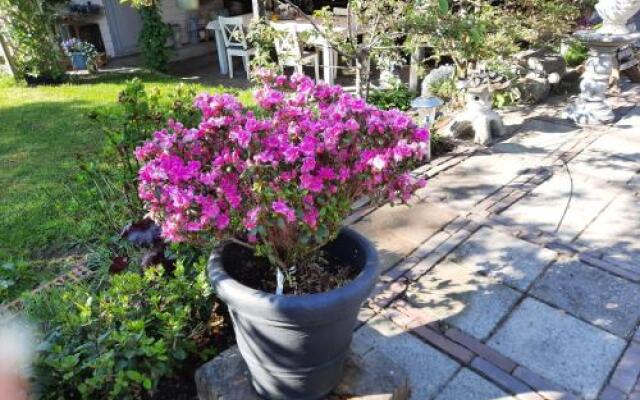 Anneke's Bed en Botterhammeke