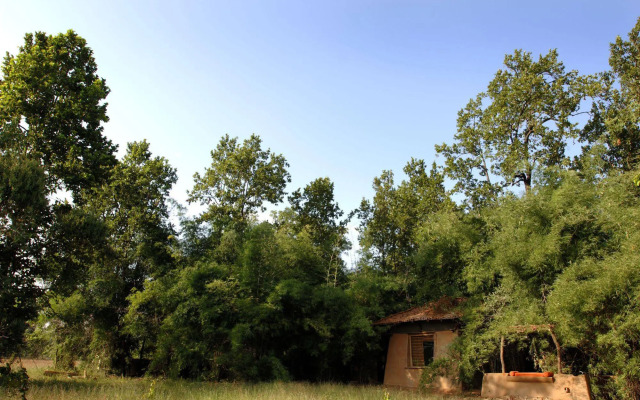 Mahua Kothi, Bandhavgarh National Park