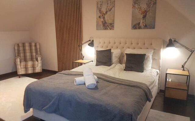 Poduszka Apartments Pod Lysica