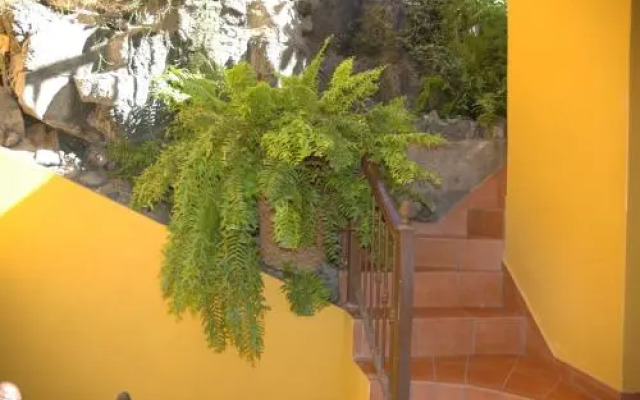 Hotel Jardín Concha