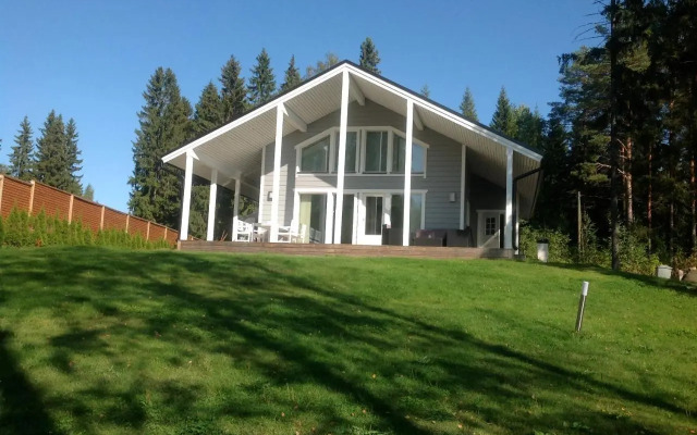 Villa koivula