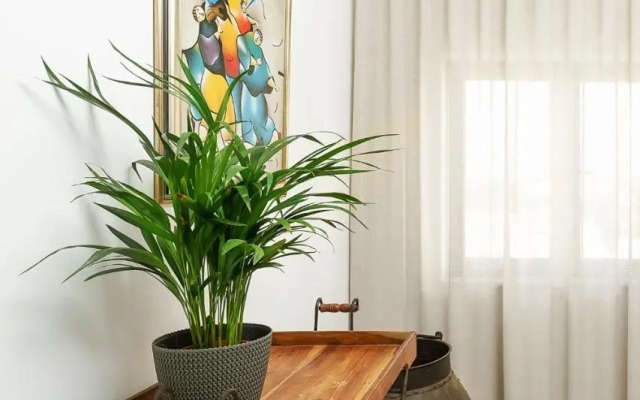 Tropicana Apartment