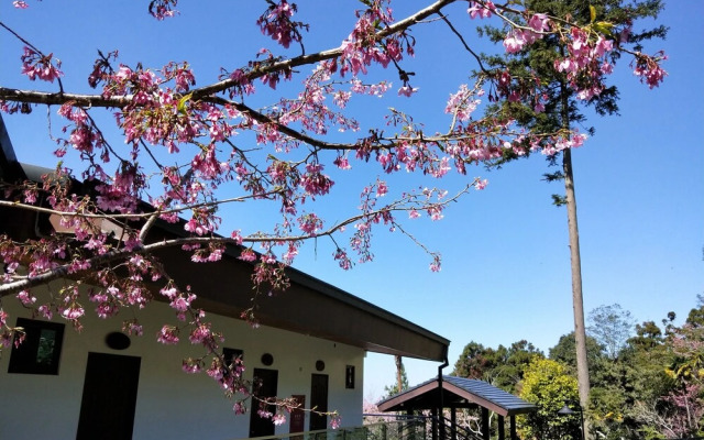 Long Yun Farm