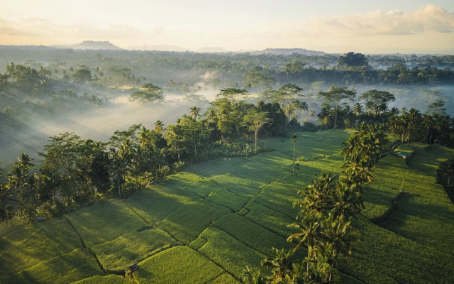 Ubud Mas Glamping Luxury Tent