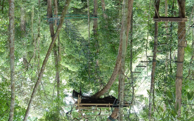 Permai Rainforest Resort