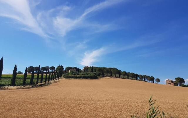Il vecchio seccatoio