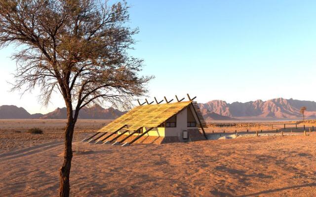 Desert Quiver Camp