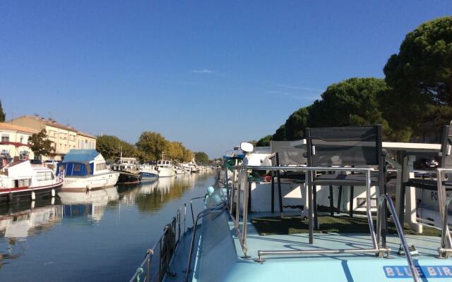 Penichette Oiseau Bleu