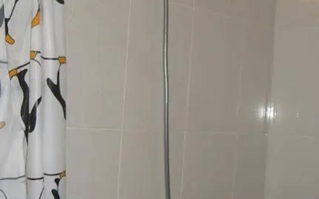 Solo Apartment Kamenskaya