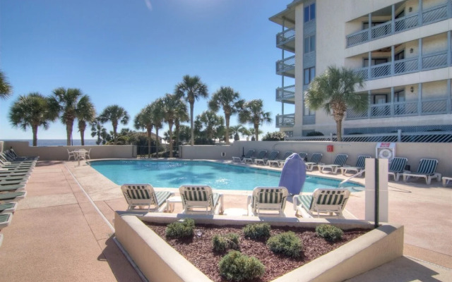 Ocean Forest 2309