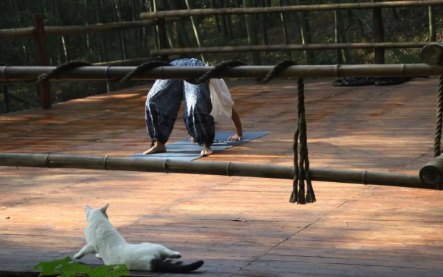 Om Yoga Resort
