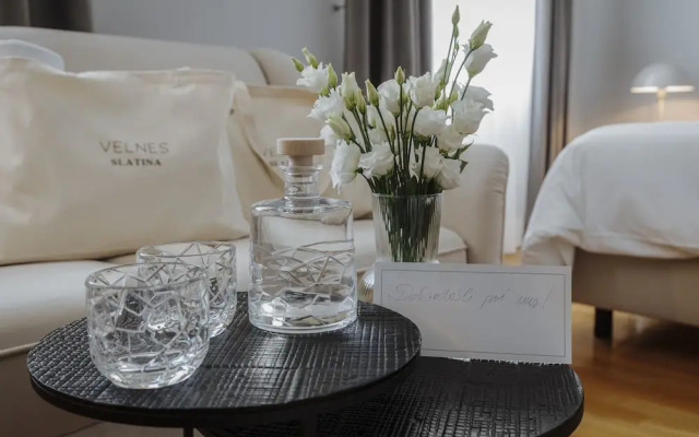Hotel Slatina