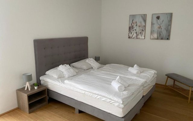 Residence Bellevue by Alpin Rentals - incl Summercard