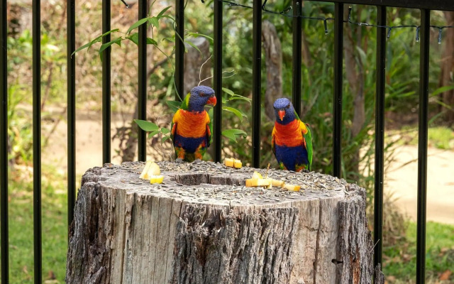 ORION BLUE BEACH STAY Vincentia 4pm Check Out Sundays