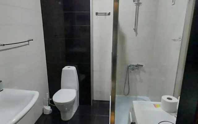 Apartment on Rustaveli