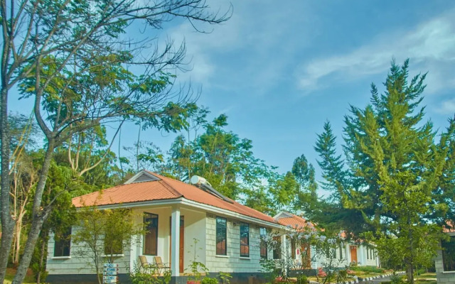 Ngorongoro Corridor Lodge
