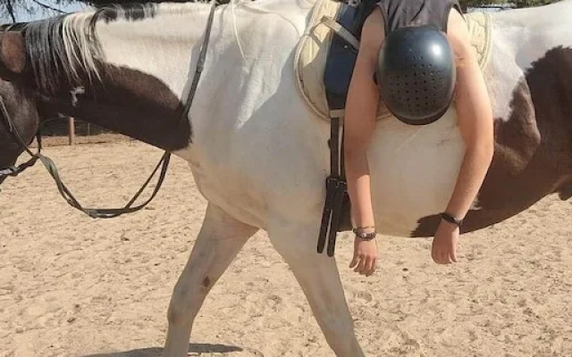 agroturystyka Kurnik Polski