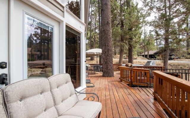 Living THE Dream #1807