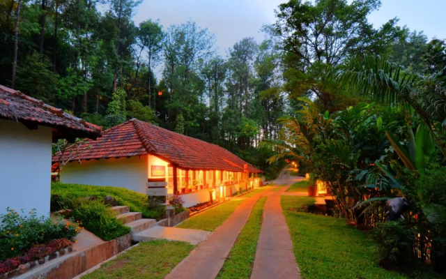 The Tamara Coorg