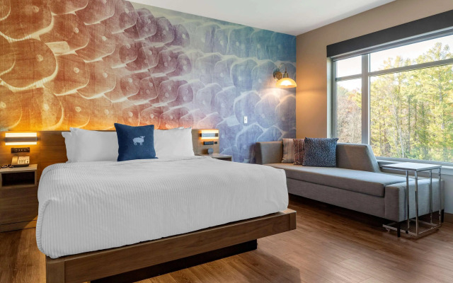 Cambria Hotel Manchester South Windsor