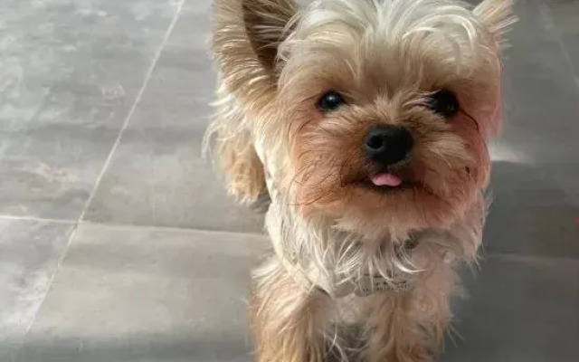 Qingwu Fisherman's Hostel