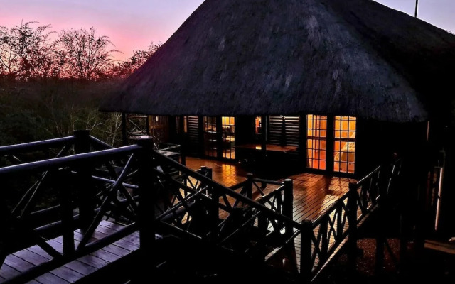 Lion Tree Bush Lodge